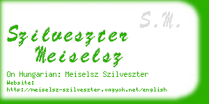 szilveszter meiselsz business card